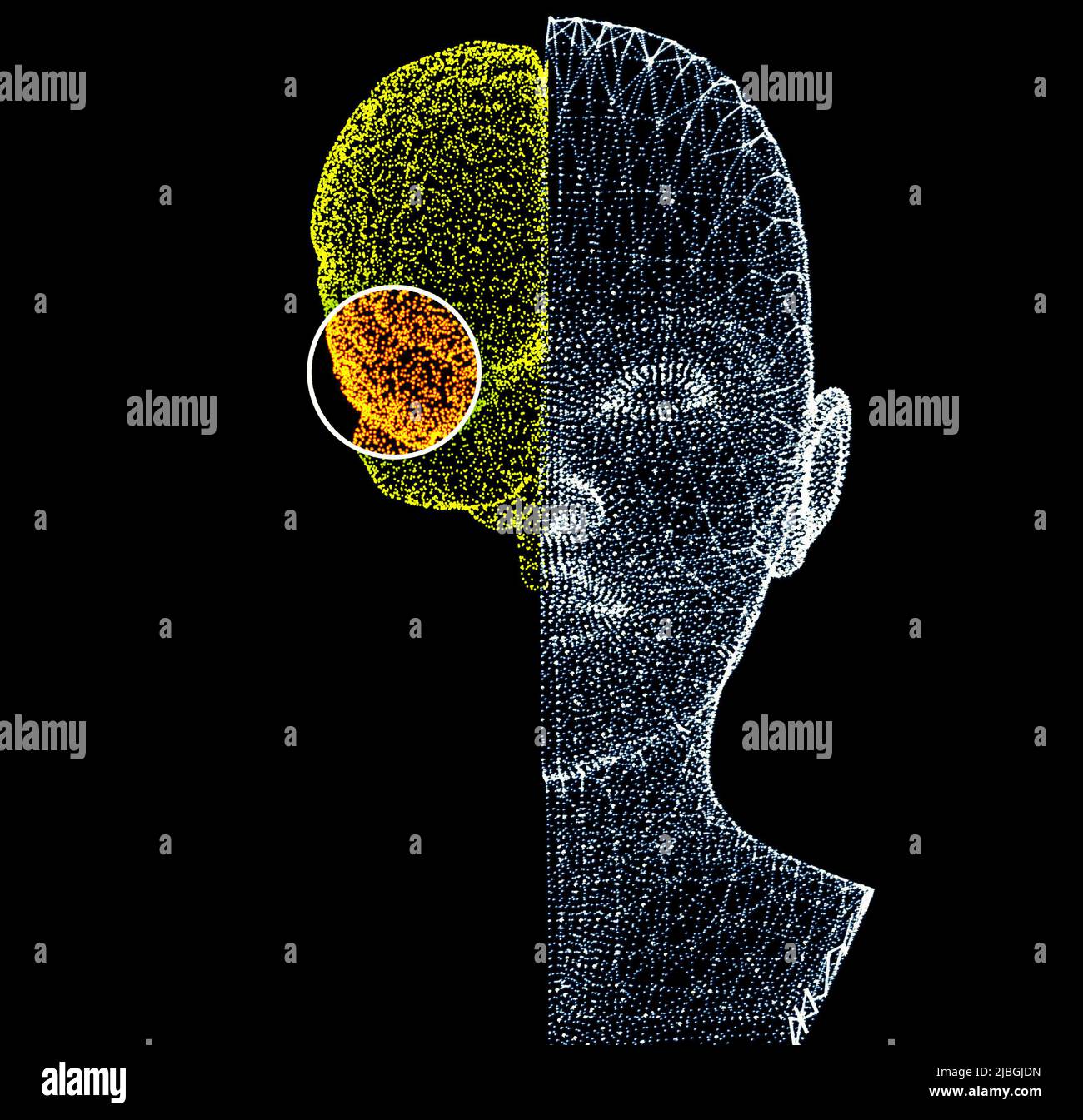 Wie das Gehirn funktioniert. Synapsen und Neuronen. Verbindungen. Kümmern Sie sich um Ihr Gehirn. Degenerative Erkrankungen, Parkinson und Alzheimer, ältere Frau Stockfoto