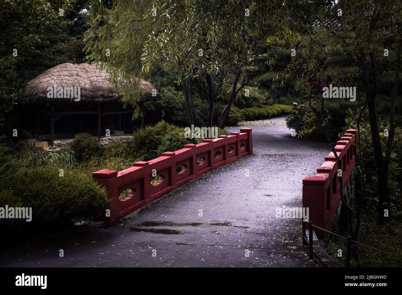 Rote Brücke im asiatischen Stil im orientalischen Garten nach Regen mit einem Eintopf mit Strohdach in mystischer Stimmung. Stockfoto