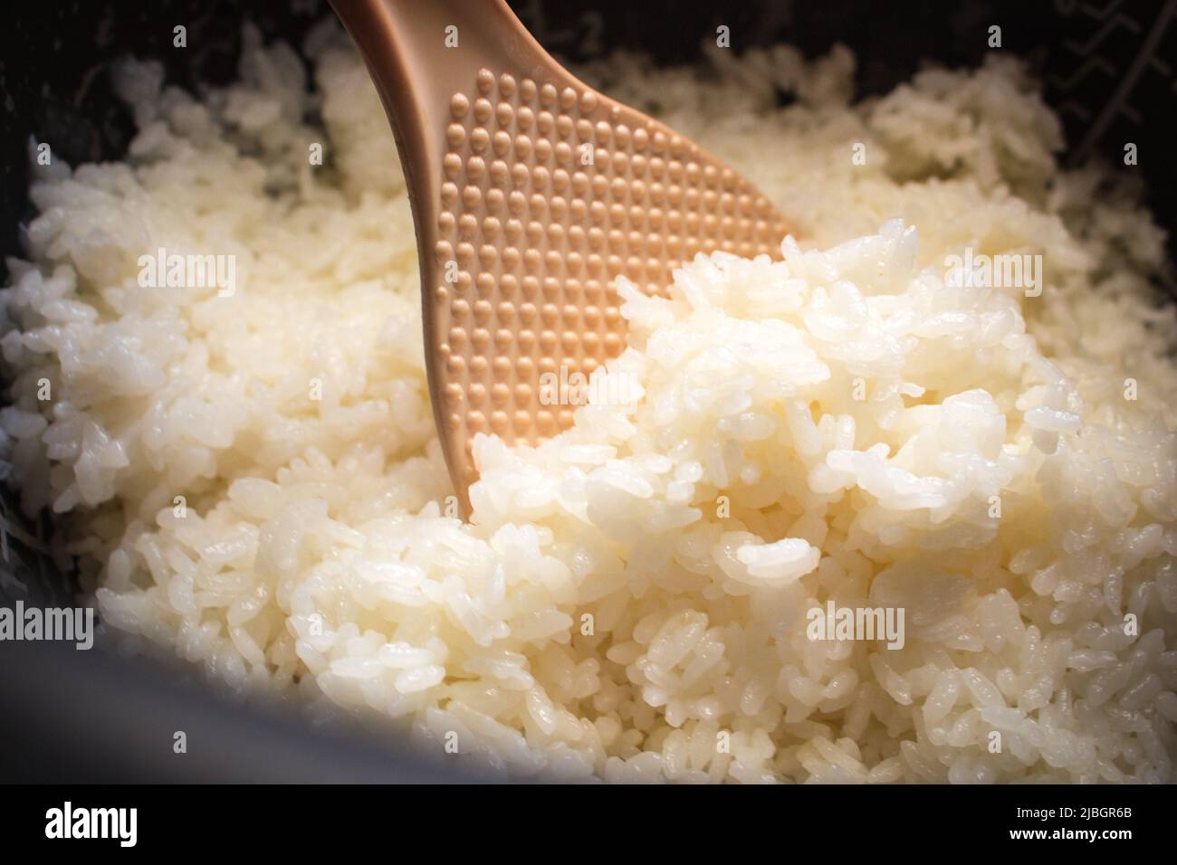 Japanischer gedämpfter Reis im Reiskocher. Stockfoto