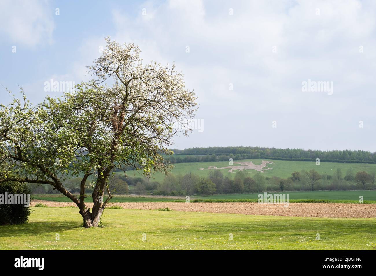 Bures Dragon von der St. Stephen's Chapel, Suffolk aus gesehen Stockfoto