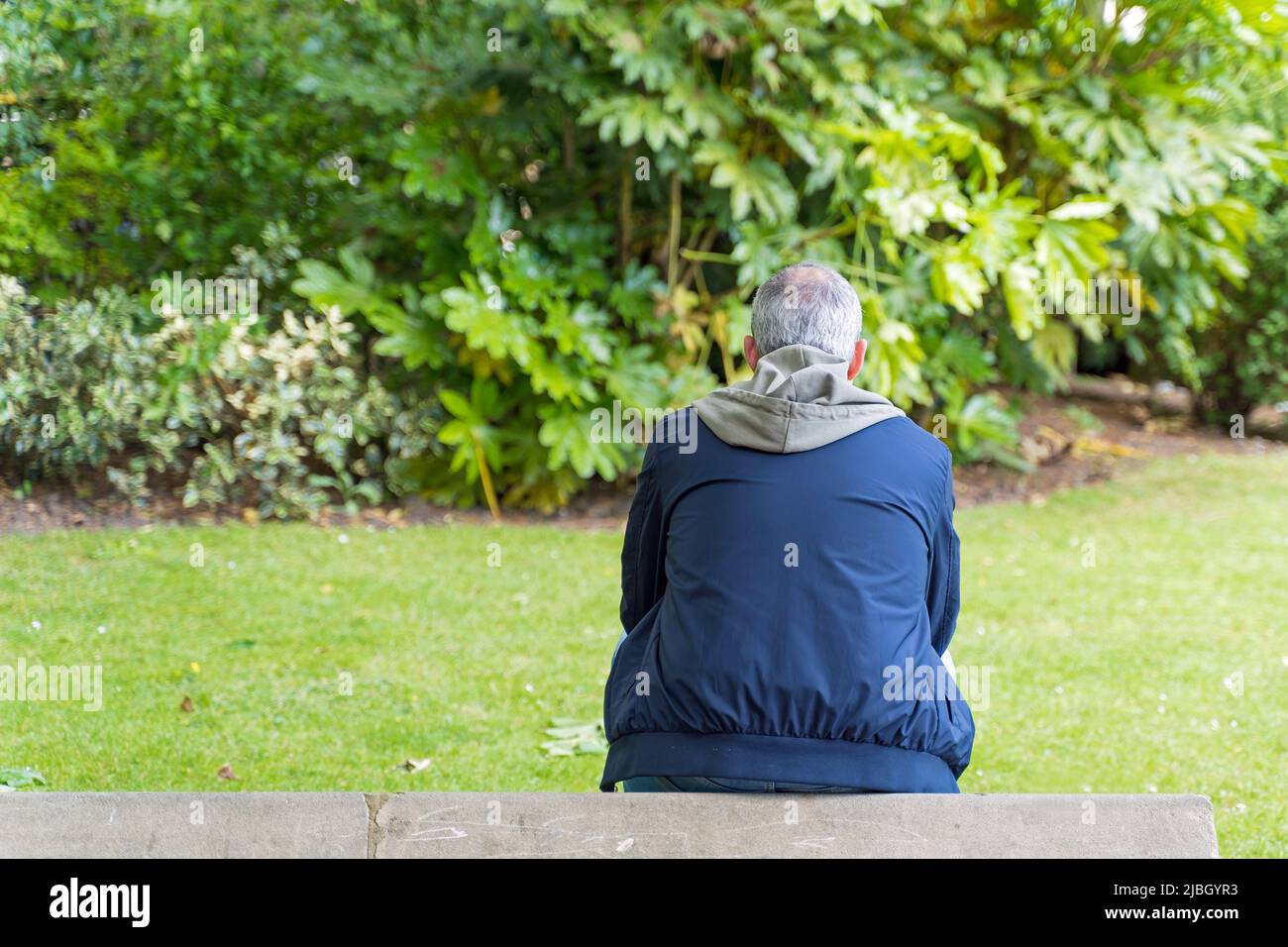 Der Rücken eines Mannes mit grauem Haar, der alleine auf einer Wand sitzt und von Pflanzen und Bäumen umgeben ist Stockfoto