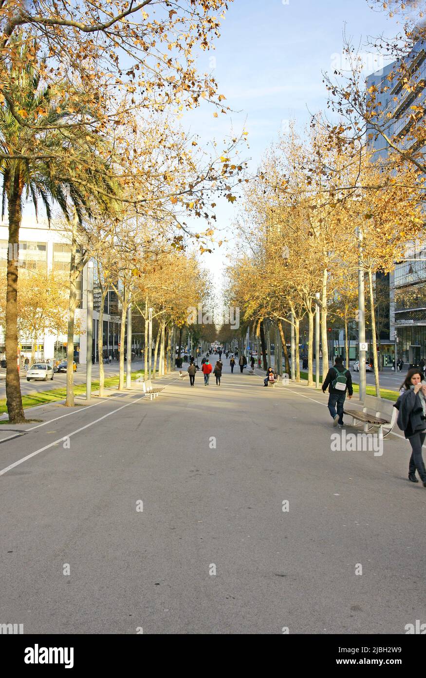 Sonnenuntergang in Barcelona, Katalonien, Spanien, Europa Stockfoto