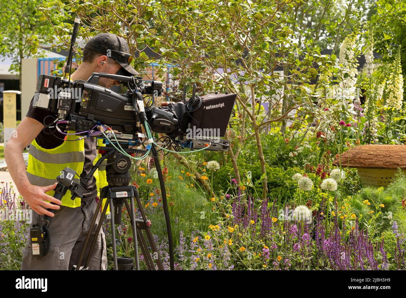 Ein TV-Kameramann, der den RHS Garden bei der Chelsea Flower Show filmt. Stockfoto