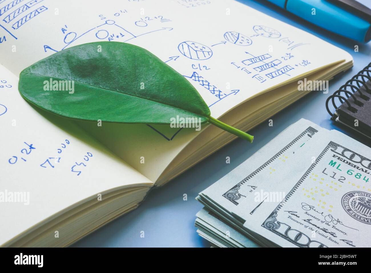 Grünes Blatt für Geschäftsplan und Geld für Investitionen. Stockfoto