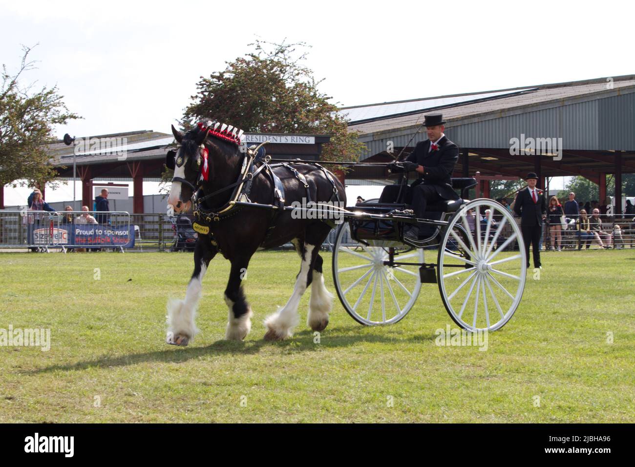 Heavy Horse Turnout Championship im President's Ring auf der Suffolk Show 2022 im Trinity Park, Ipswich Stockfoto