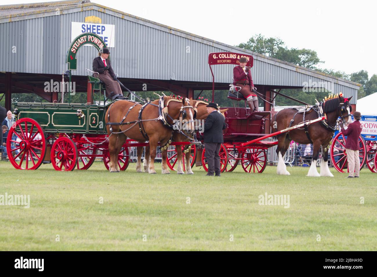 Heavy Horse Turnout Championship im President's Ring auf der Suffolk Show 2022 im Trinity Park, Ipswich Stockfoto