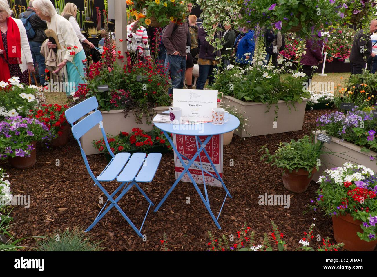 Katie's Garden Plant Center gewann Gold auf der Blumenschau im Rahmen der Suffolk Show 2022 im Trinity Park in Ipswich. Stockfoto