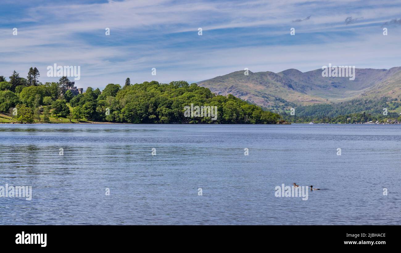 Über Windermere zum Wray Castle am westlichen Ufer, Lake District, England Stockfoto