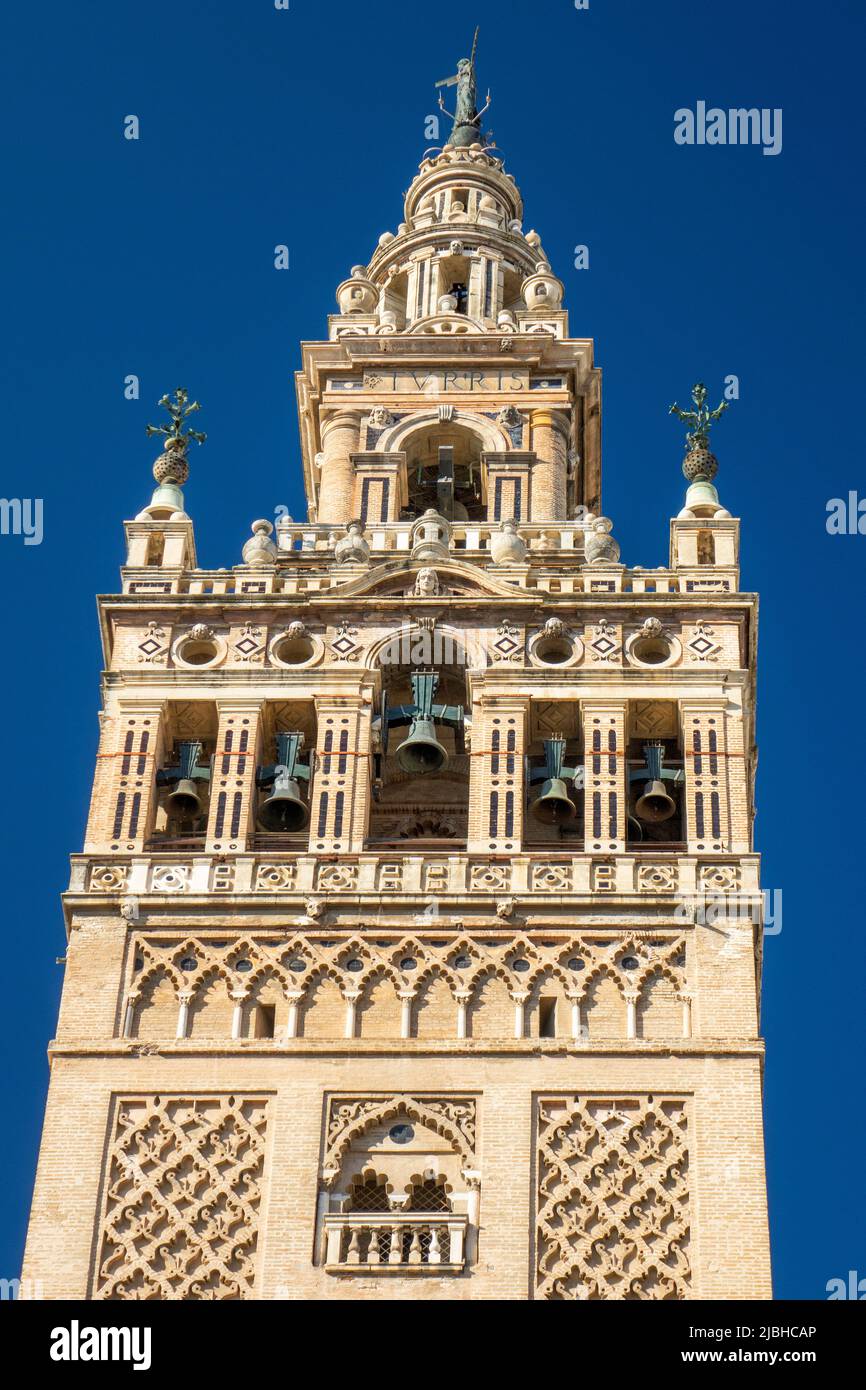 Die Giralda Glockenturm der Kathedrale von Sevilla die Kathedrale der Heiligen Maria vom See (Catedral de Santa María de la Sede), Sevilla Spanien Stockfoto