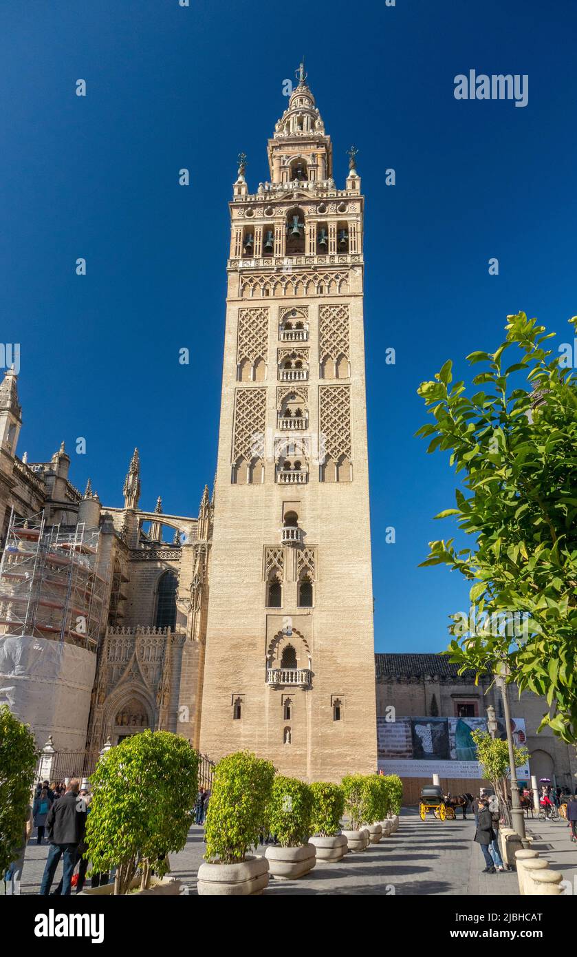 Die Giralda Glockenturm der Kathedrale von Sevilla die Kathedrale der Heiligen Maria vom See (Catedral de Santa María de la Sede), Sevilla Spanien Stockfoto