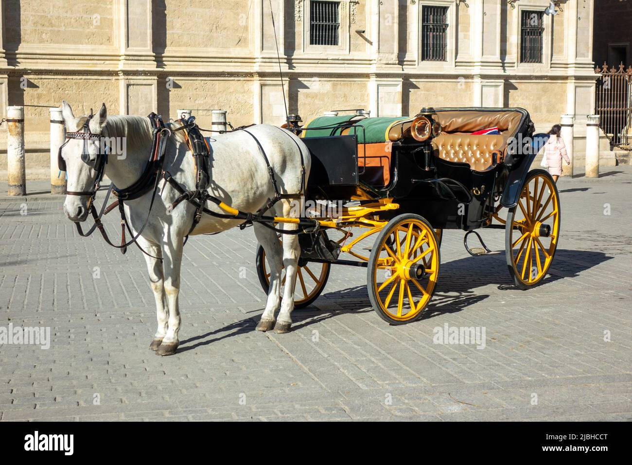Reiten Und Kutschenfahrten In Sevilla Spanien Bietet Ausritte Für Touristen Und Besucher An Touren Durch Sevilla Einzelnes Weißes Pferd Und Volante, Stockfoto
