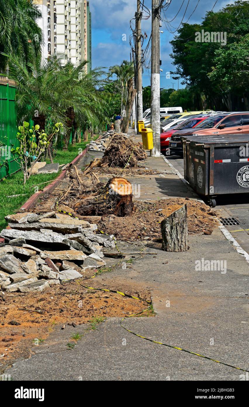 RIO DE JANEIRO, BRASILIEN - 5. JUNI 2022: Beschädigter Bürgersteig mit entwurzelten Bäumen im Viertel Itanhanga Stockfoto