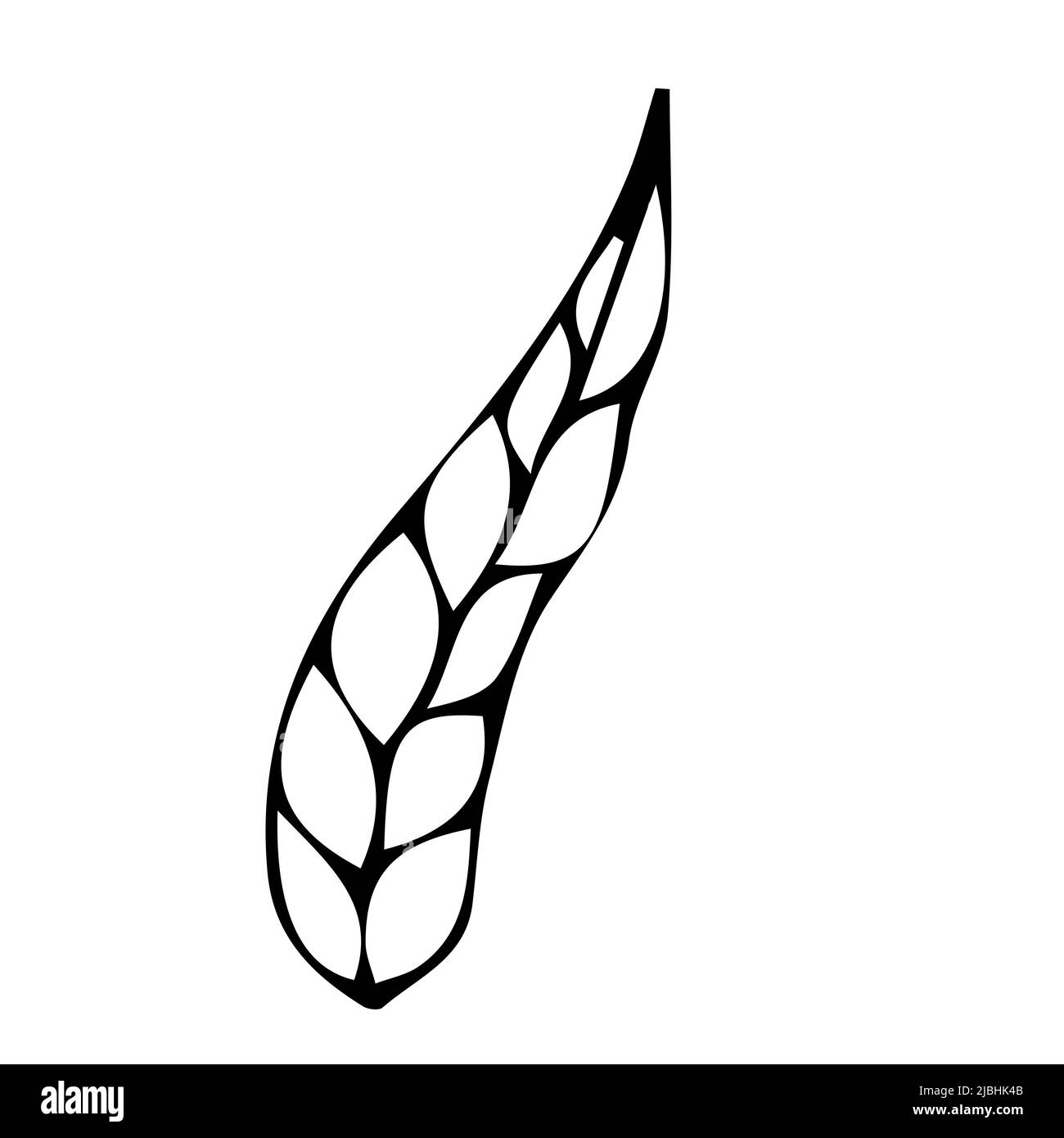 Blumenpflanze, Zweig im Doodle-Stil isoliert auf weißem Hintergrund. Elegante Design Dekoration, Element. . Vektorgrafik Stock Vektor