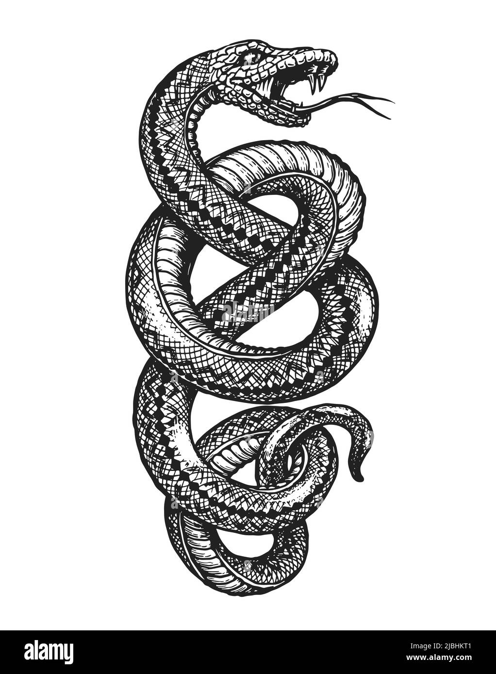 Skizze der gewickelten Schlange. Handgezeichnete Vintage Vektor Illustration für Poster, Tattoo, Kleidung Stock Vektor