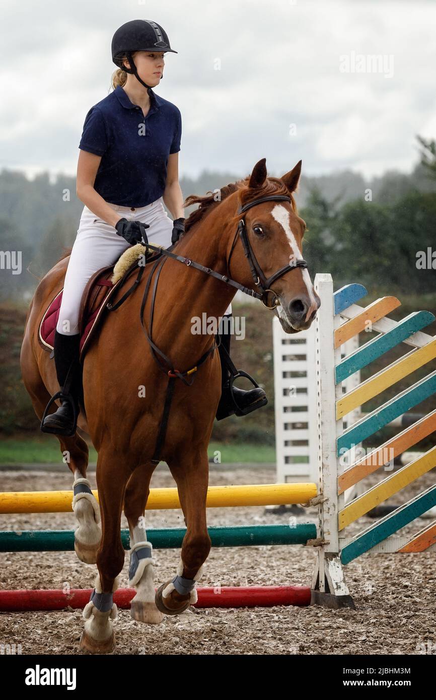 Mädchen mit braunem Ross springt über die Hürde auf dem Pferd Wettbewerb. Stockfoto