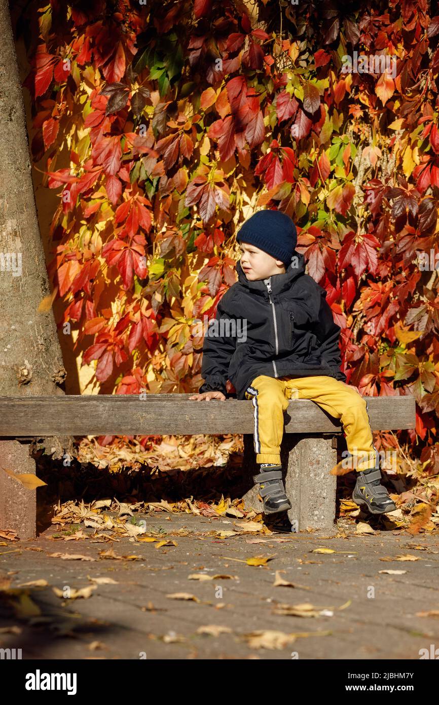 Ein süßer Junge ruht auf einer Bank auf dem Platz der Altstadt vor dem Hintergrund des farbenfrohen Herbstlaubes. Vertikales Foto. Stockfoto
