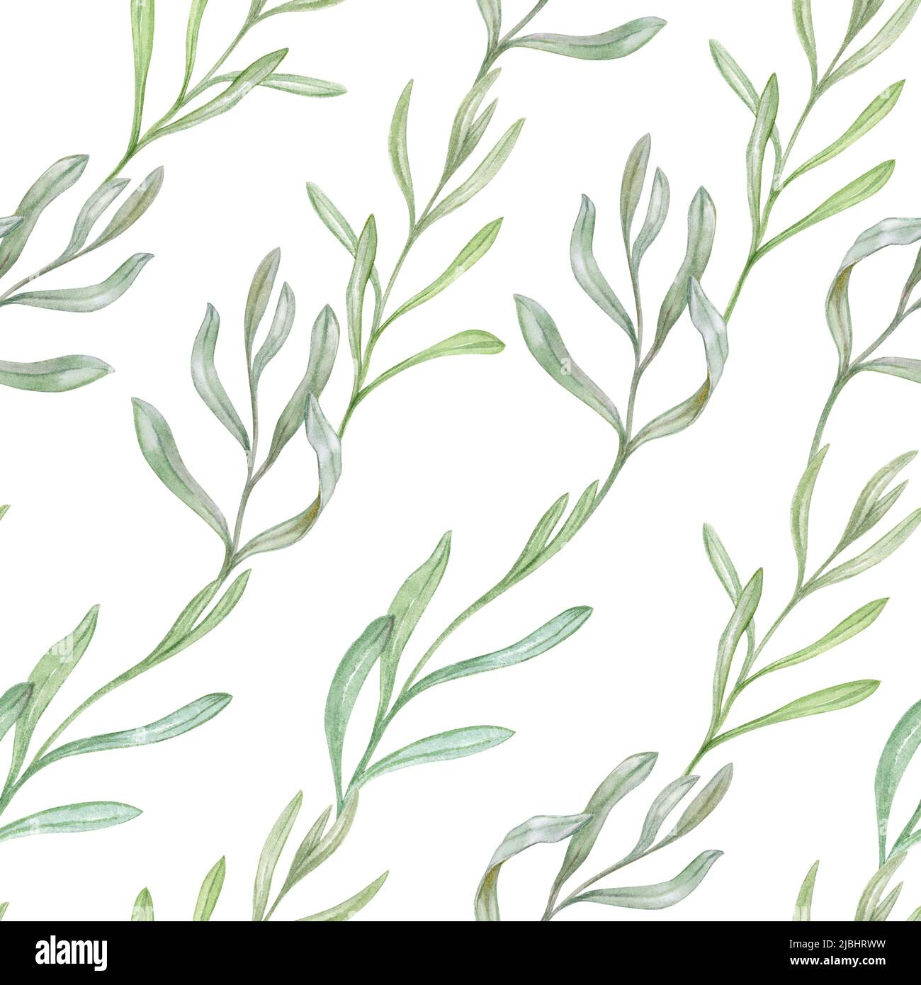 Muster mit zarten grünen Blättern, Aquarell-Illustration Stockfoto
