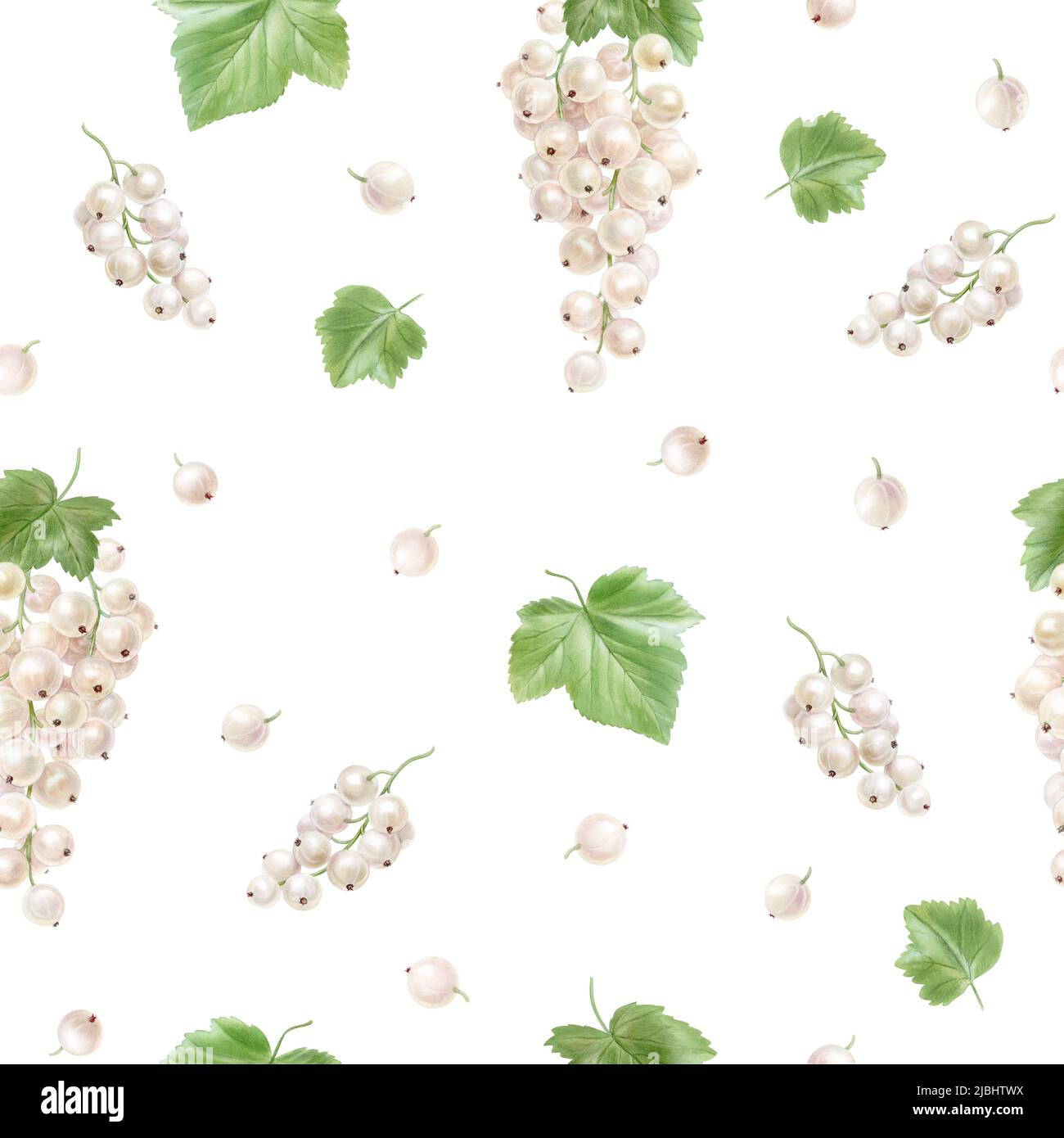 Muster mit weißen Johannisbeeren, Aquarell-Illustration Stockfoto