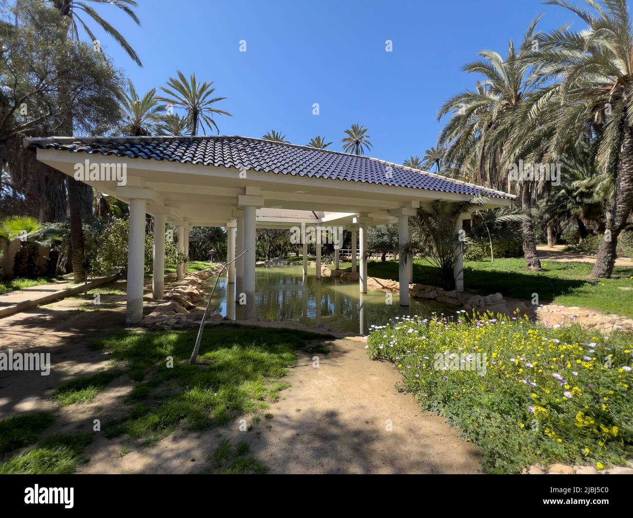 Panoramablick auf den El Palmeral Park in Alicante, Spanien Stockfoto