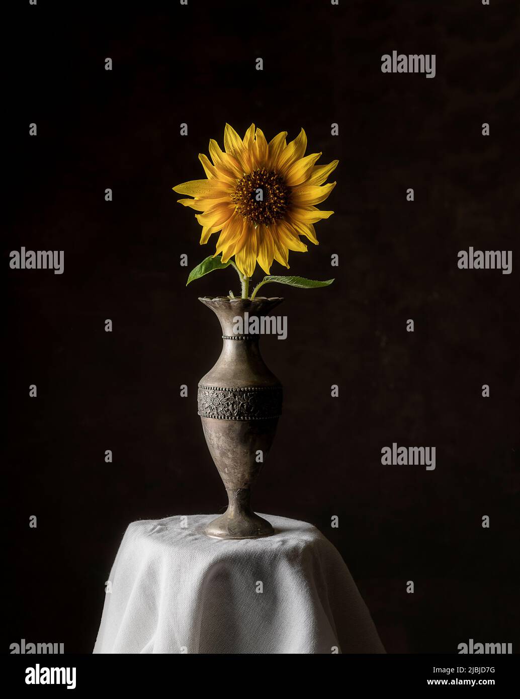Sonnenblume mit alter Aussichtvase auf dem kleinen Tisch Stockfoto