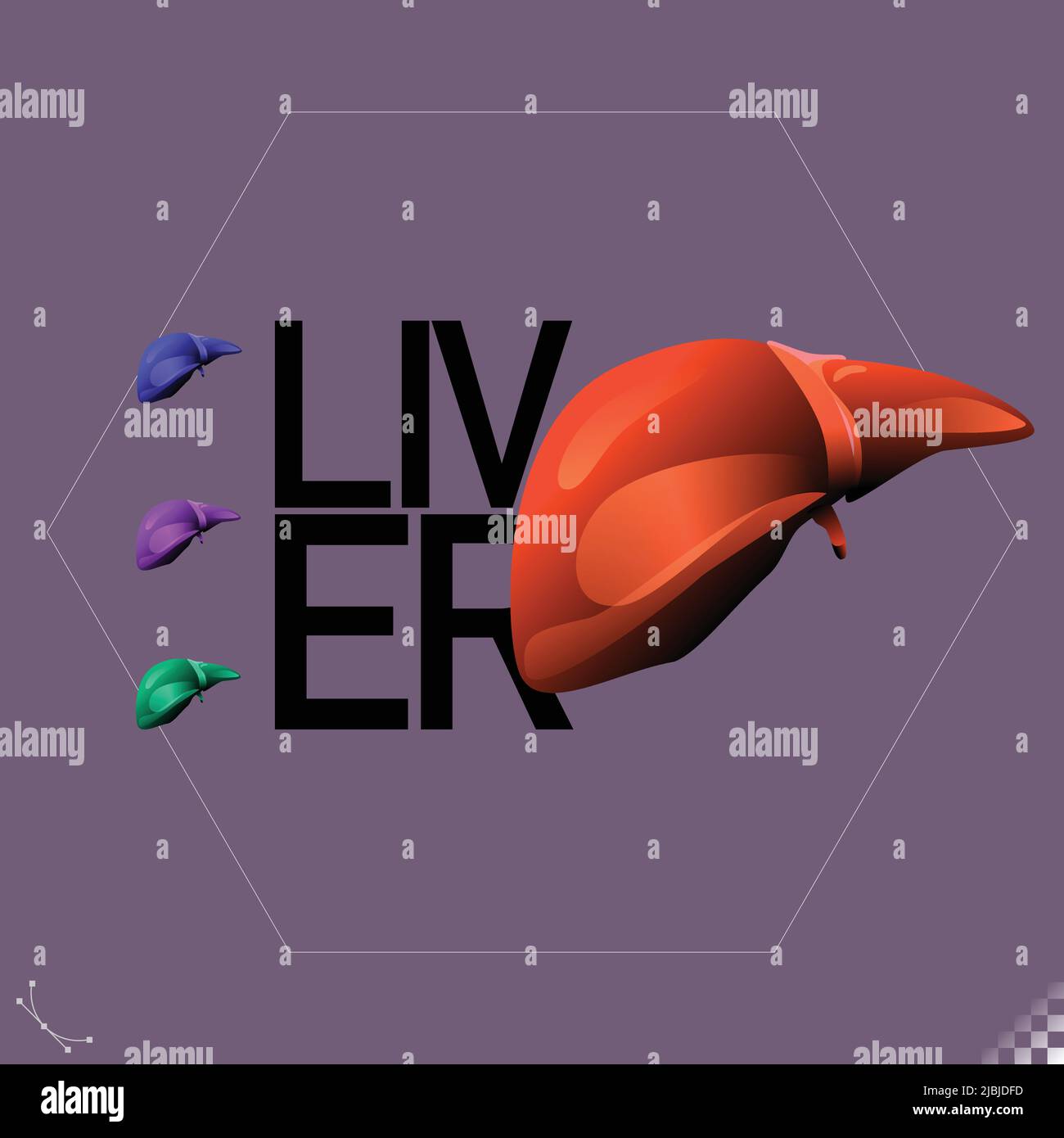 Moderne schöne stilisierte monotone menschliche Organ Symbole und Symbole Leber - Teil eines Sets Stock Vektor