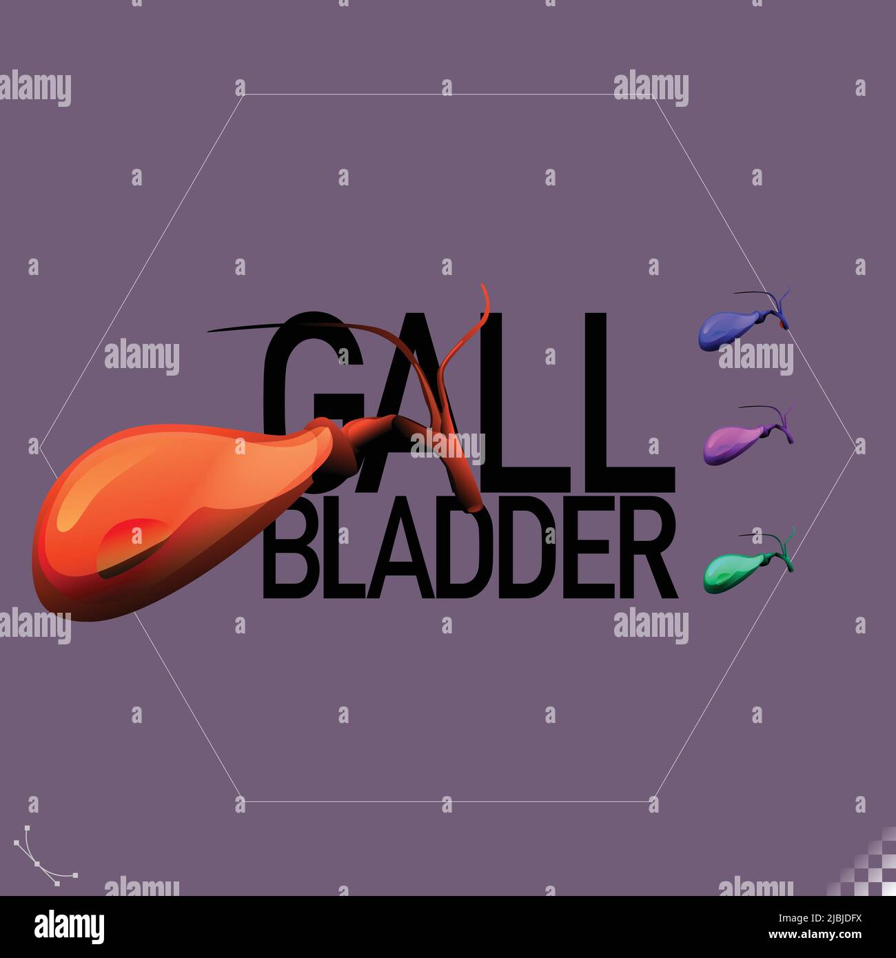 Moderne schöne stilisierte monotone menschliche Gallenblase Organ Symbole und Symbole - Teil eines Sets Stock Vektor