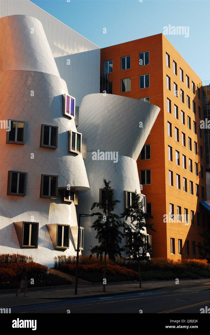 Das einzigartige Stata Center von Frank Gehry befindet sich auf dem Campus des Massachusetts Institute of Technology, mit, in Cambridge Stockfoto