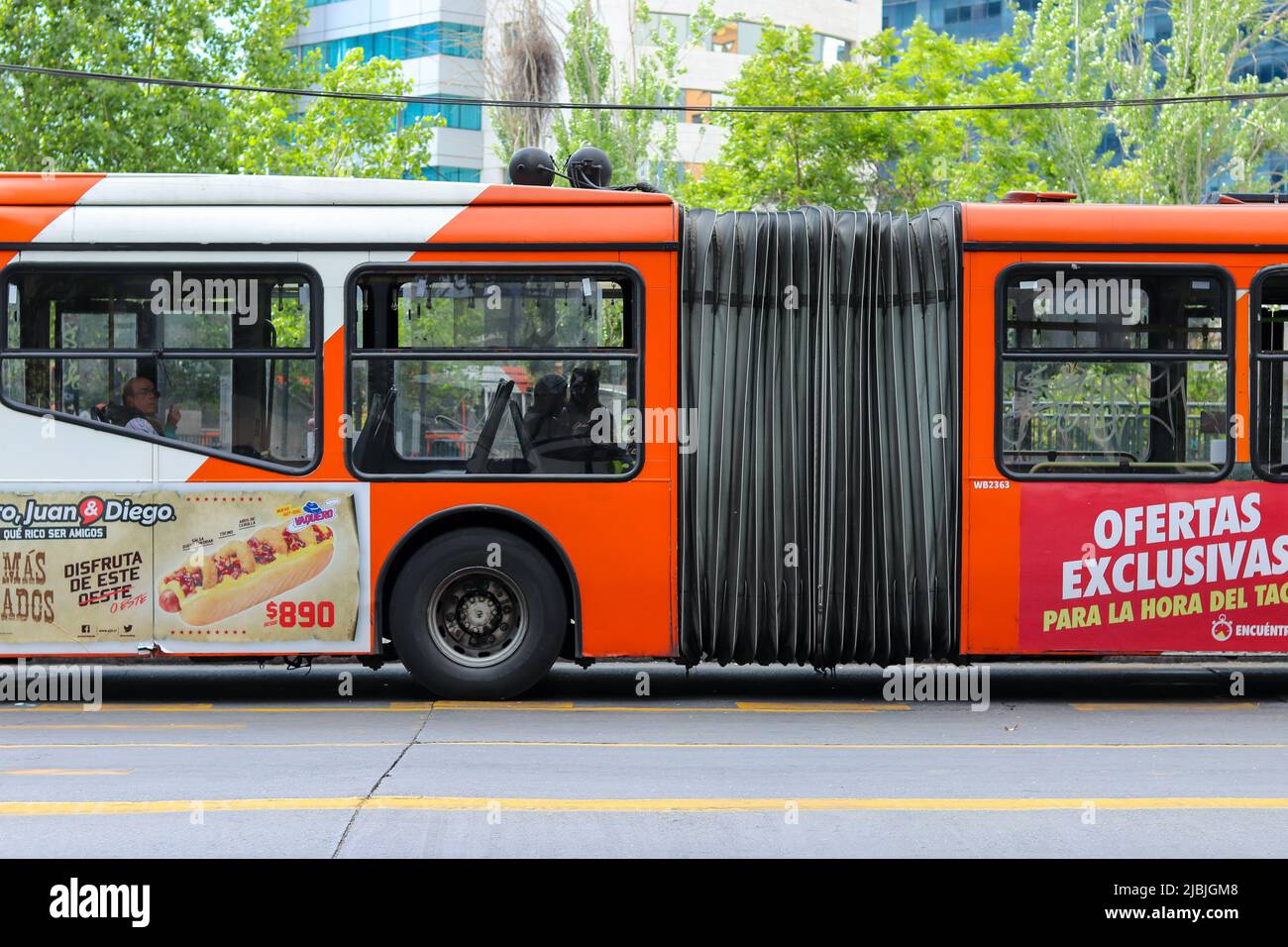 Transantiago Bus in Providencia, Santiago, Chile Stockfoto