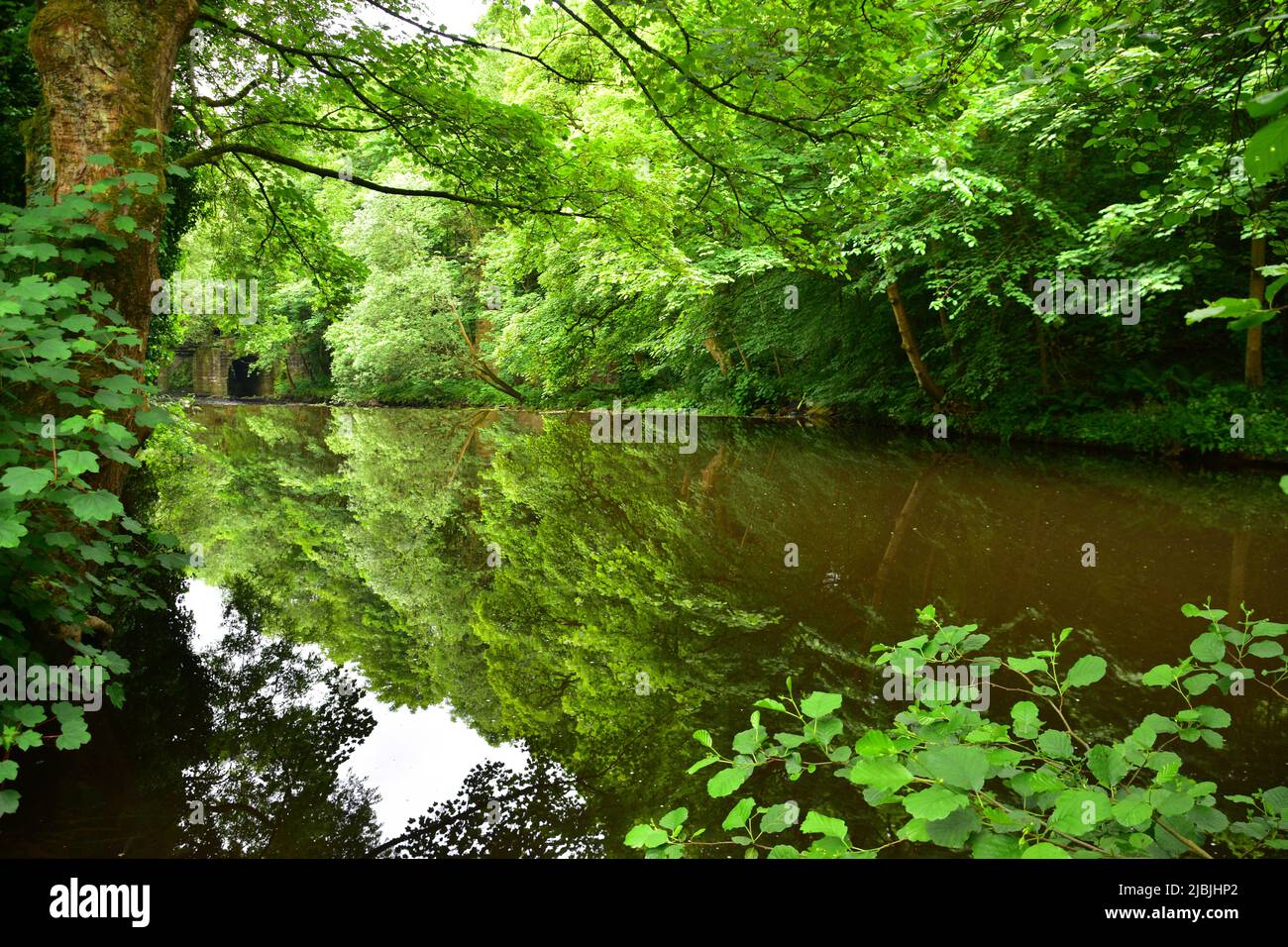 River Calder, Station Road Zuteilungen, Hebden Bridge Stockfoto