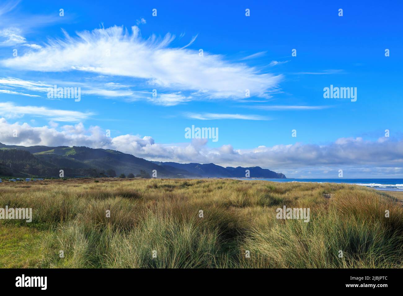 Wispy Cirrus Wolken hängen über den Dünengräsern von Ocean Beach, Hawke's Bay, Neuseeland Stockfoto
