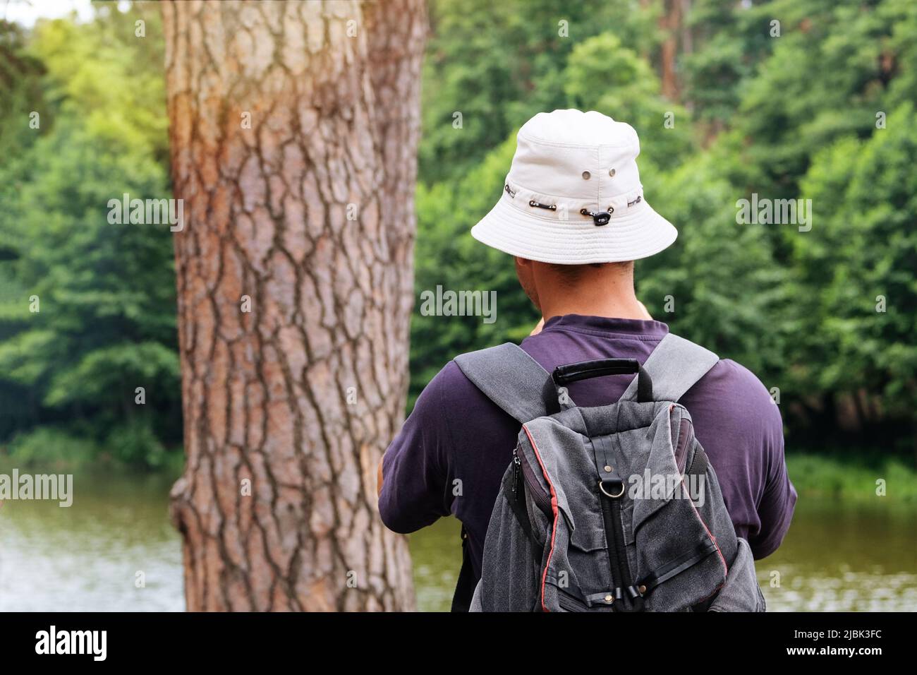 Tourist mit Rucksack in einem Pinienwald. Sonniger Tag. Stockfoto