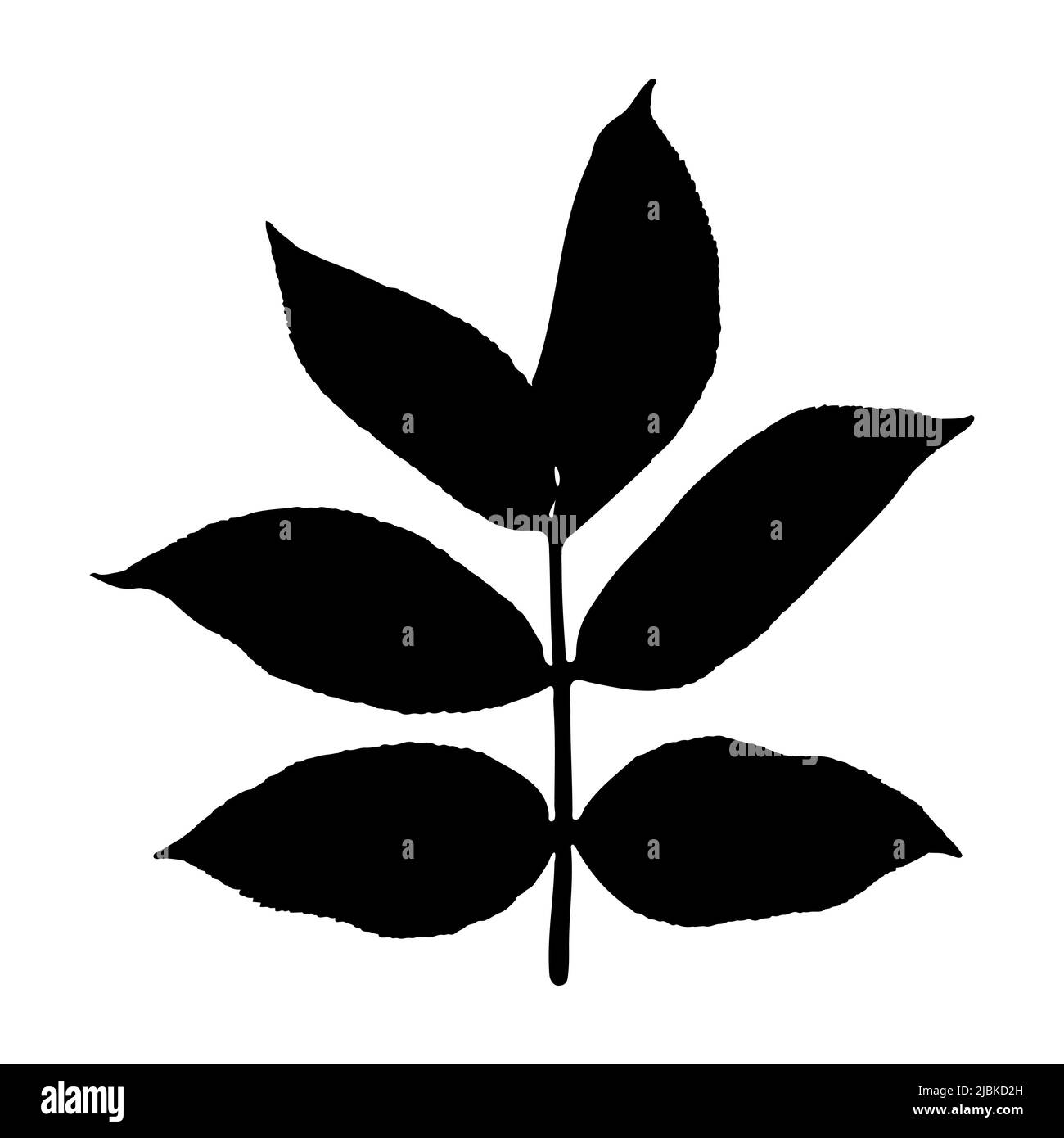Die Kontur eines Baumes oder Grases mit Blättern. Schwarzer Umriss einer Strauchzweigpflanze, isoliert auf weißem Hintergrund. Vektorgrafik. Stock Vektor