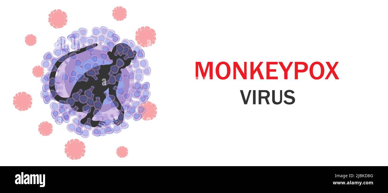 Monkeypox-Virus-Banner. Mikrobiologischer Hintergrund mit Viruszellen und Affenkonturen. Vektorgrafik. Stock Vektor