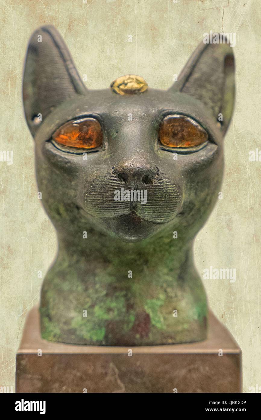 Ägyptischer Kopf einer Katze mit bernsteinfarbenen Augen. Carlsberg Glyptotek Museum. Kopenhagen. Dänemark. Der Bronzekopf dieser Katze mit bernsteinfarbenen Augen hat einen goldenen Skarabäus Stockfoto