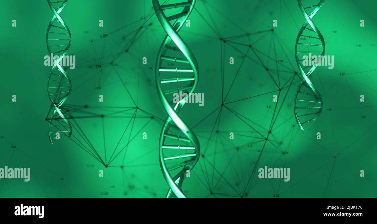 Bild von dna-Strängen über einem Netzwerk von Verbindungen auf grünem Hintergrund Stockfoto