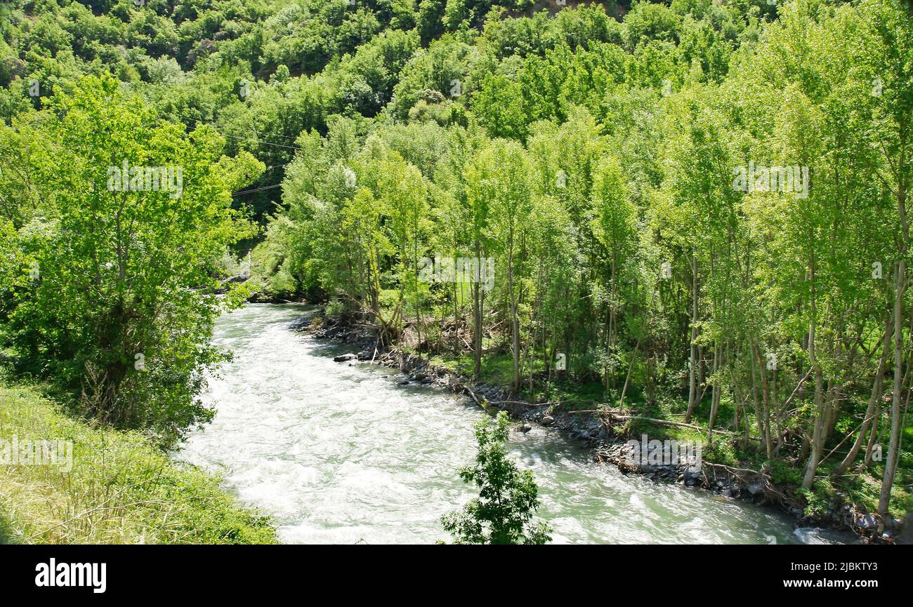 Der Fluss Noguera Pallaresa führt durch Sort, Lleida, Katalonien, Spanien, Europa Stockfoto