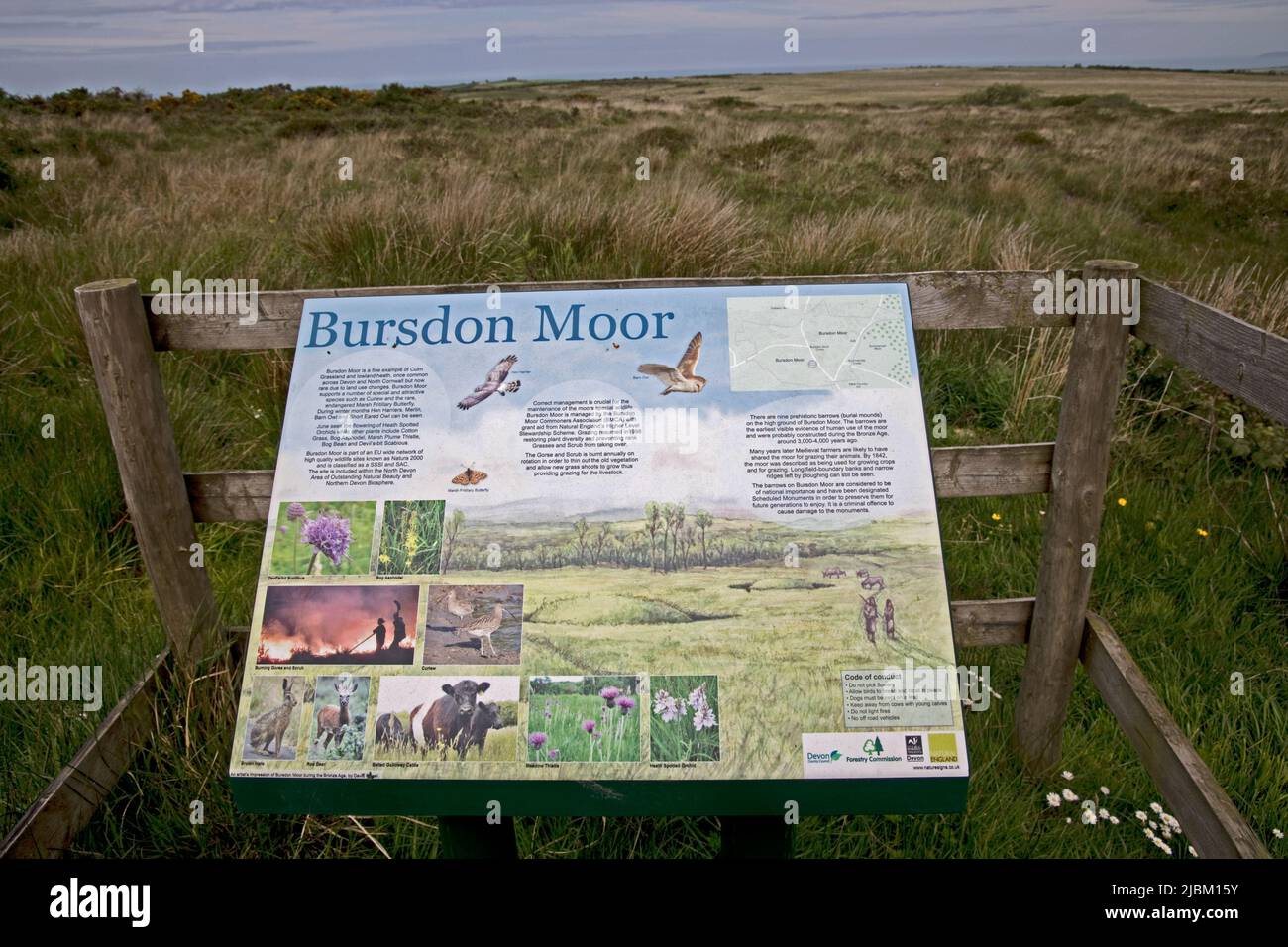 Das Bursdon Moor Nature Reserve hat den Status SSSI und ist eines der letzten verbliebenen Gebiete von Culm Grassland North Devon UK Stockfoto