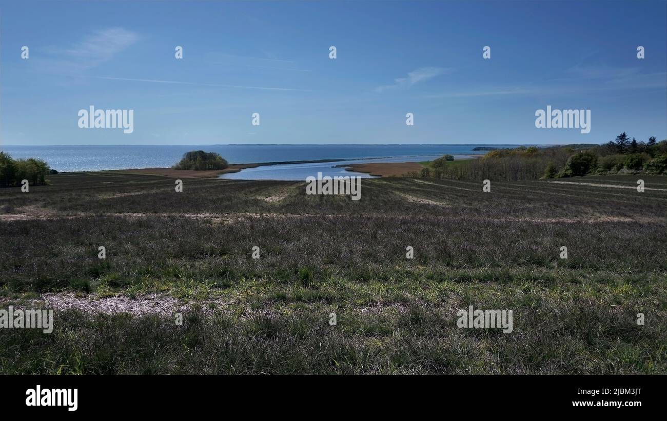 Blick auf das Meer über Gras und Heideflächen mit blauem Himmel in Dänemark Stockfoto