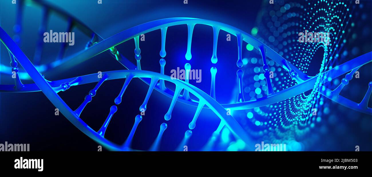 Abbildung des DNA-Modells 3D. Gentechnik, Genomdekodierung. Medizin, Biologie, Chemie und Molekularforschung Stockfoto