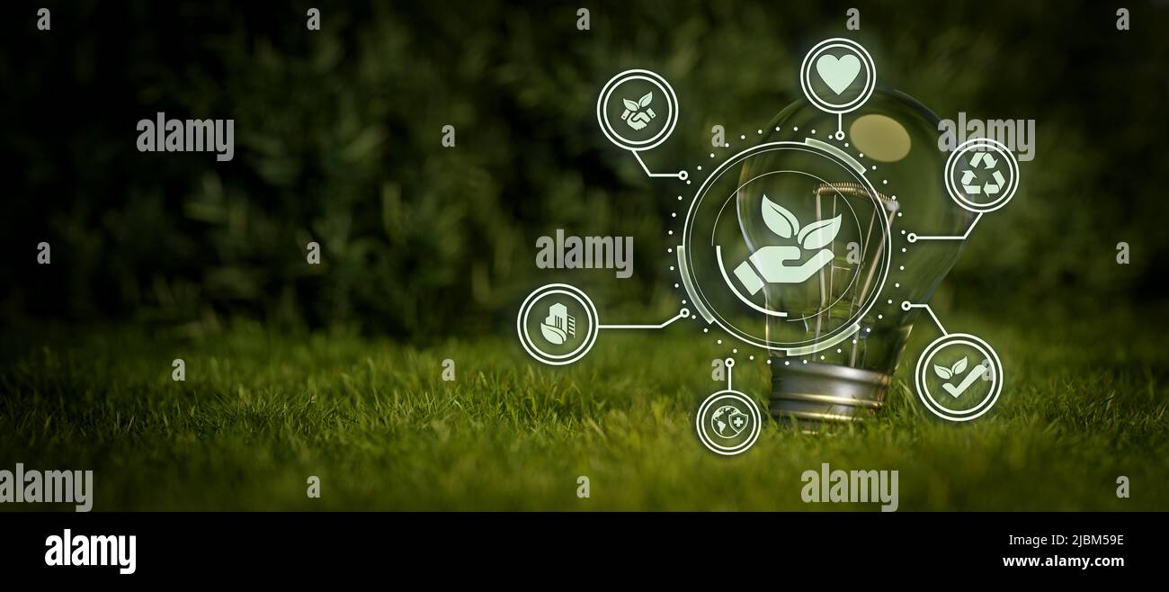 Das Symbol der Gesellschaft für Umwelt, Governance und Nachhaltigkeit in nachhaltiger Glühbirne und schönem Gras 3D Render Stockfoto