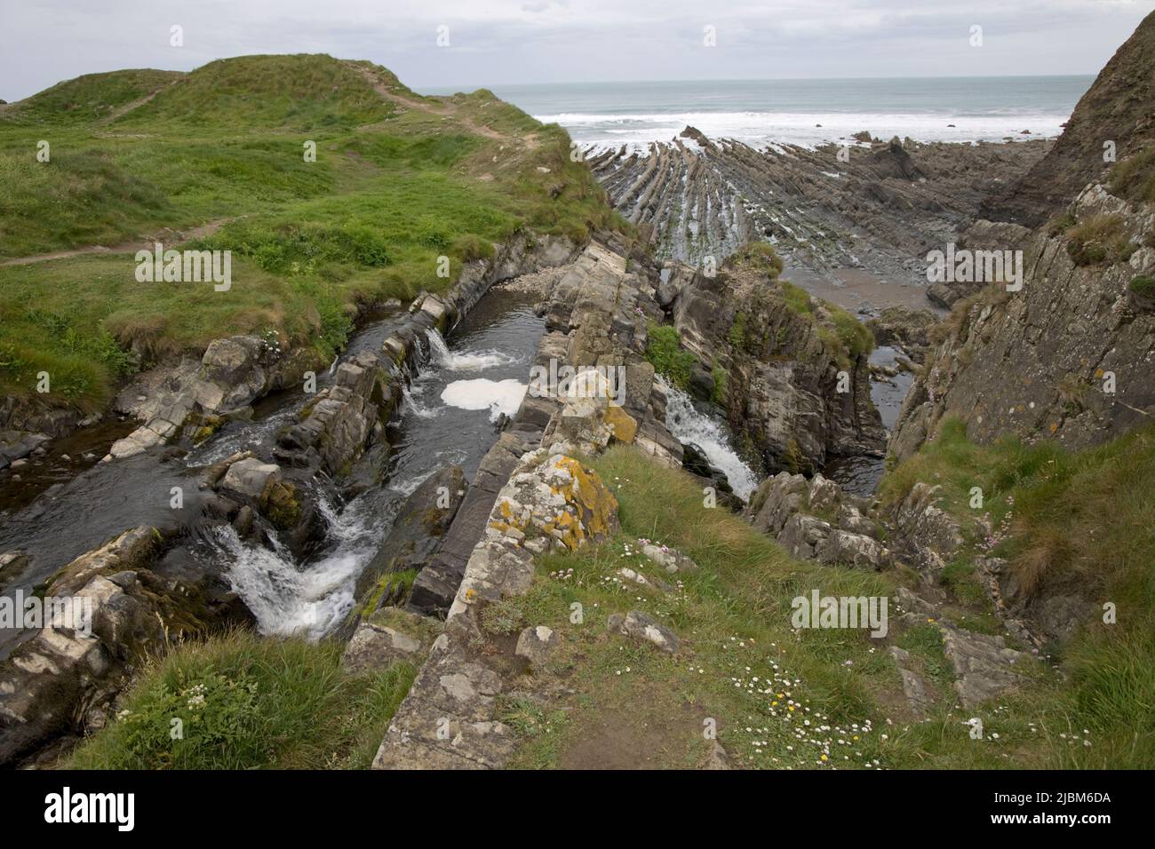 Bach und Wasserfall mit felsigem Strand im Hintergrund Widemouth Bay Hartland Peninsula Devon Stockfoto