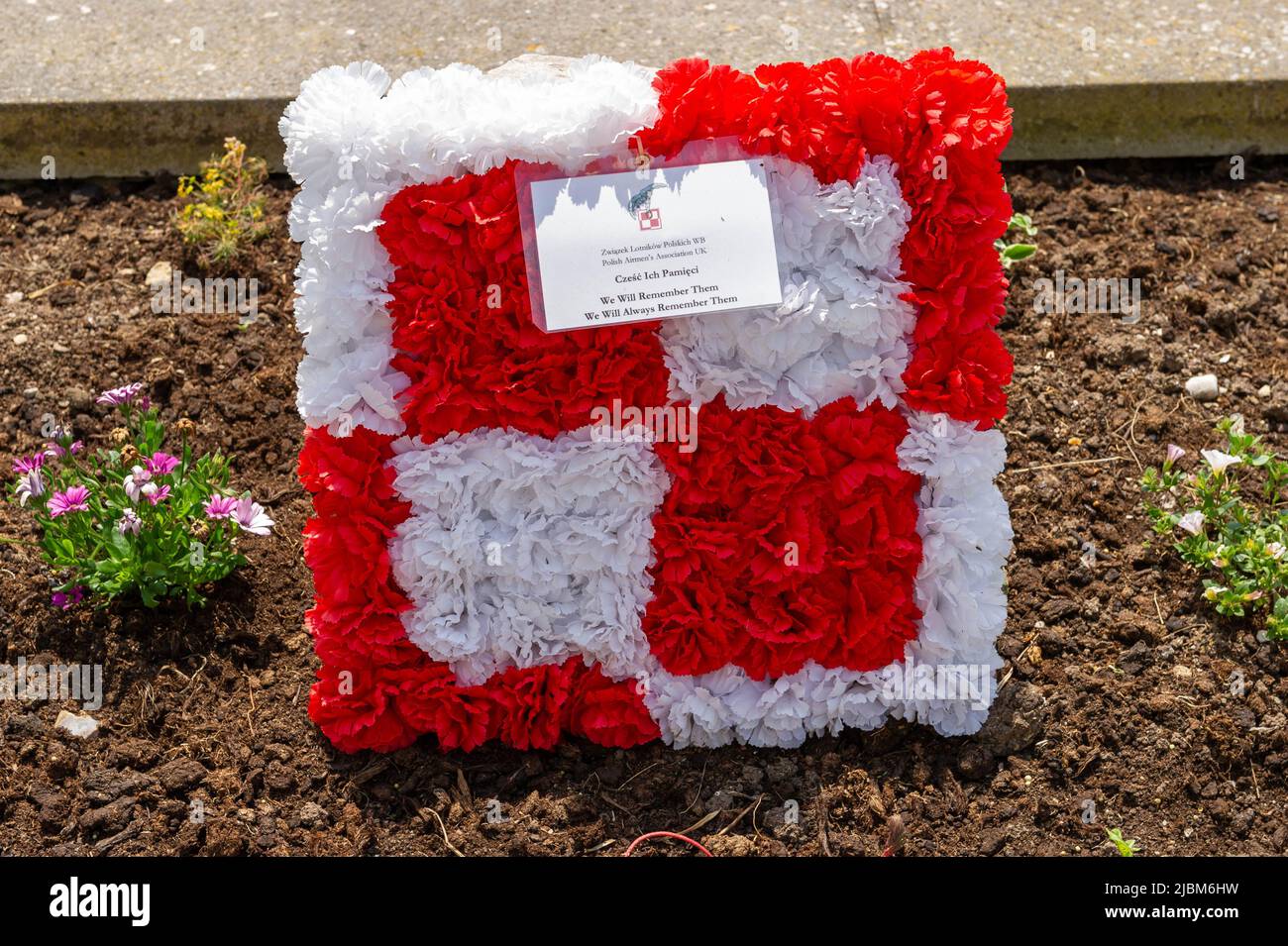 Florale Hommage an polnische Piloten des Jahres WW2 in Beer, Devon, England Stockfoto
