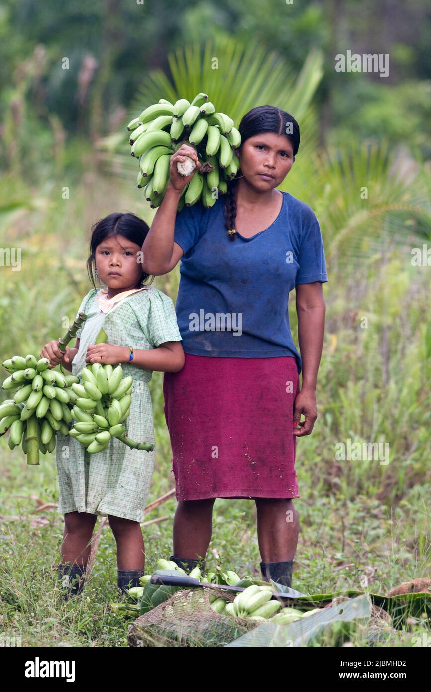 Panama, Bocas del Toro Hochland.Ngobes Bugle indian hat einige Bananen geerntet. Stockfoto