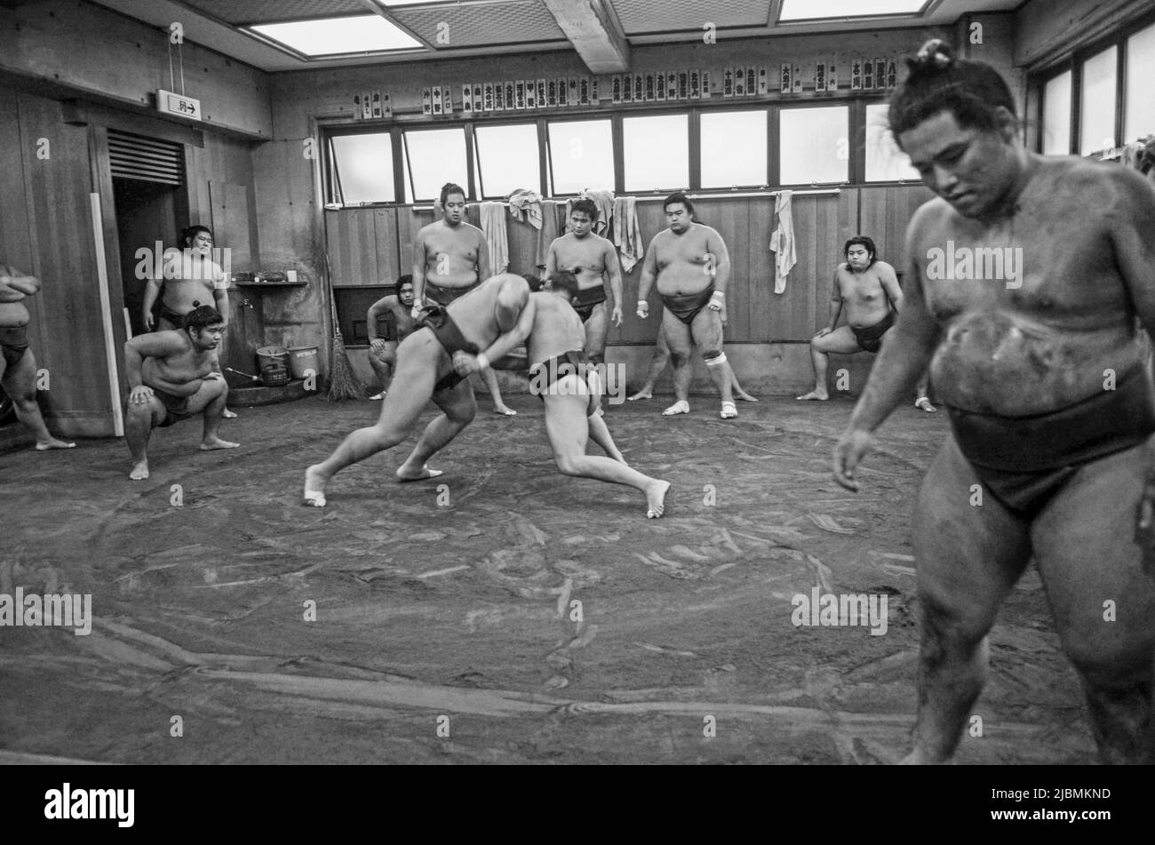 Hartes morgendliches Training im Sumo-Stall, Ryogoku, Tokio Stockfoto