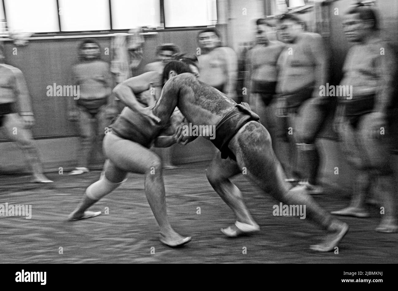 Hartes morgendliches Training im Sumo-Stall, Ryogoku, Tokio Stockfoto