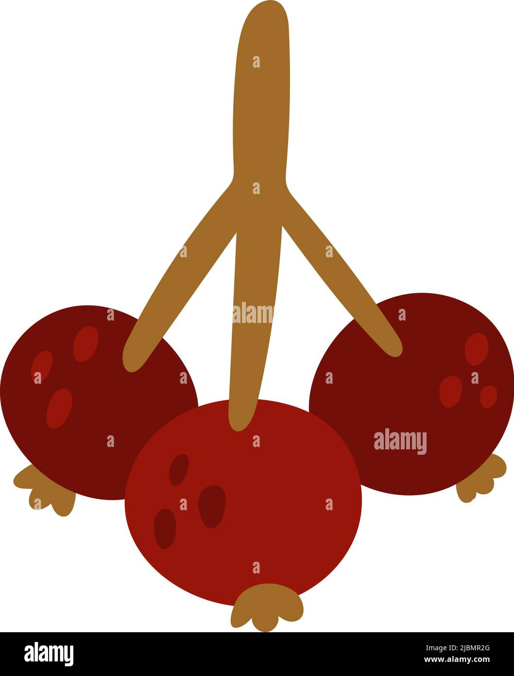 Rote Beerenstrauß. Niedliche reife Winterdekoration Stock Vektor