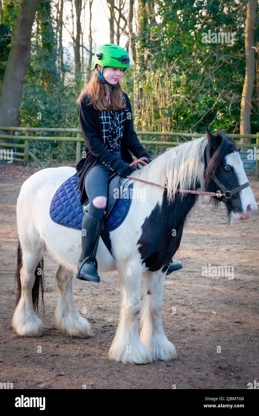 Ein Teenager-Mädchen, das auf einem brüchigen Zigeunerpferd-Pferdepony sitzt und reitet Stockfoto