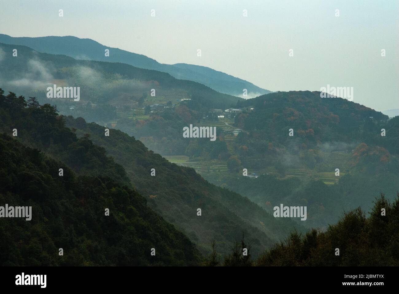 Wald der Präfektur Nagasaki, Nagasaki, Kyushu, Japan Stockfoto