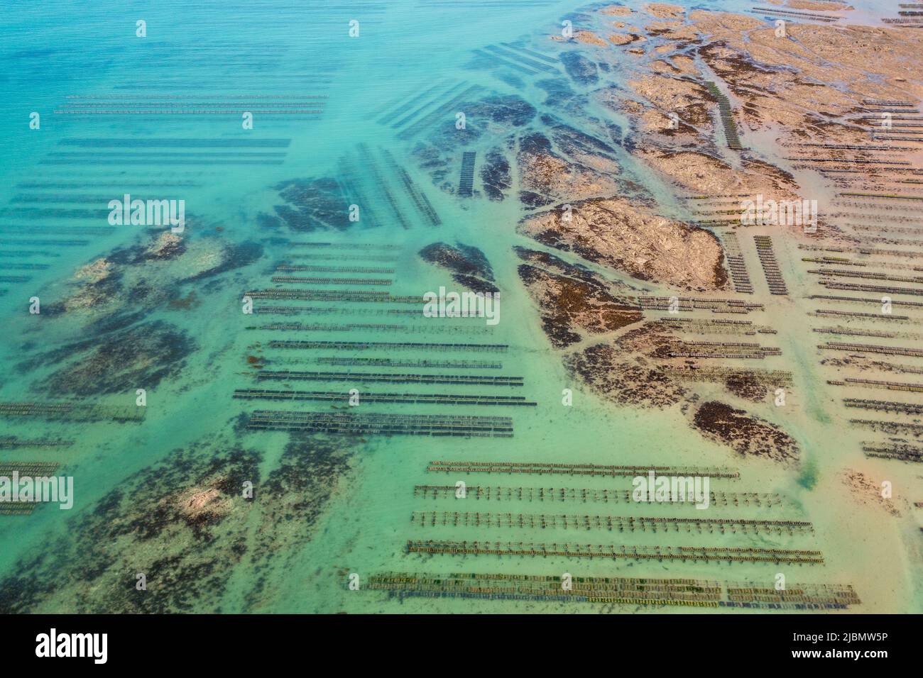 Parc à huitres de Gouville sur mer, Frankreich, Manche Stockfoto