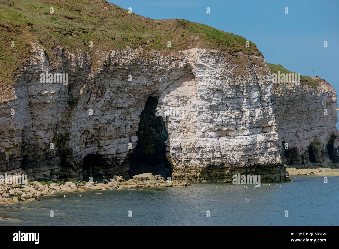 Landschaft aus geschichteten weißen Kreidefelsen, die Wellenerosion in die Nordsee bei Flamborough zeigen Stockfoto